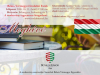 plakat_irodalmi_estek_20260511_belmegyer_bga